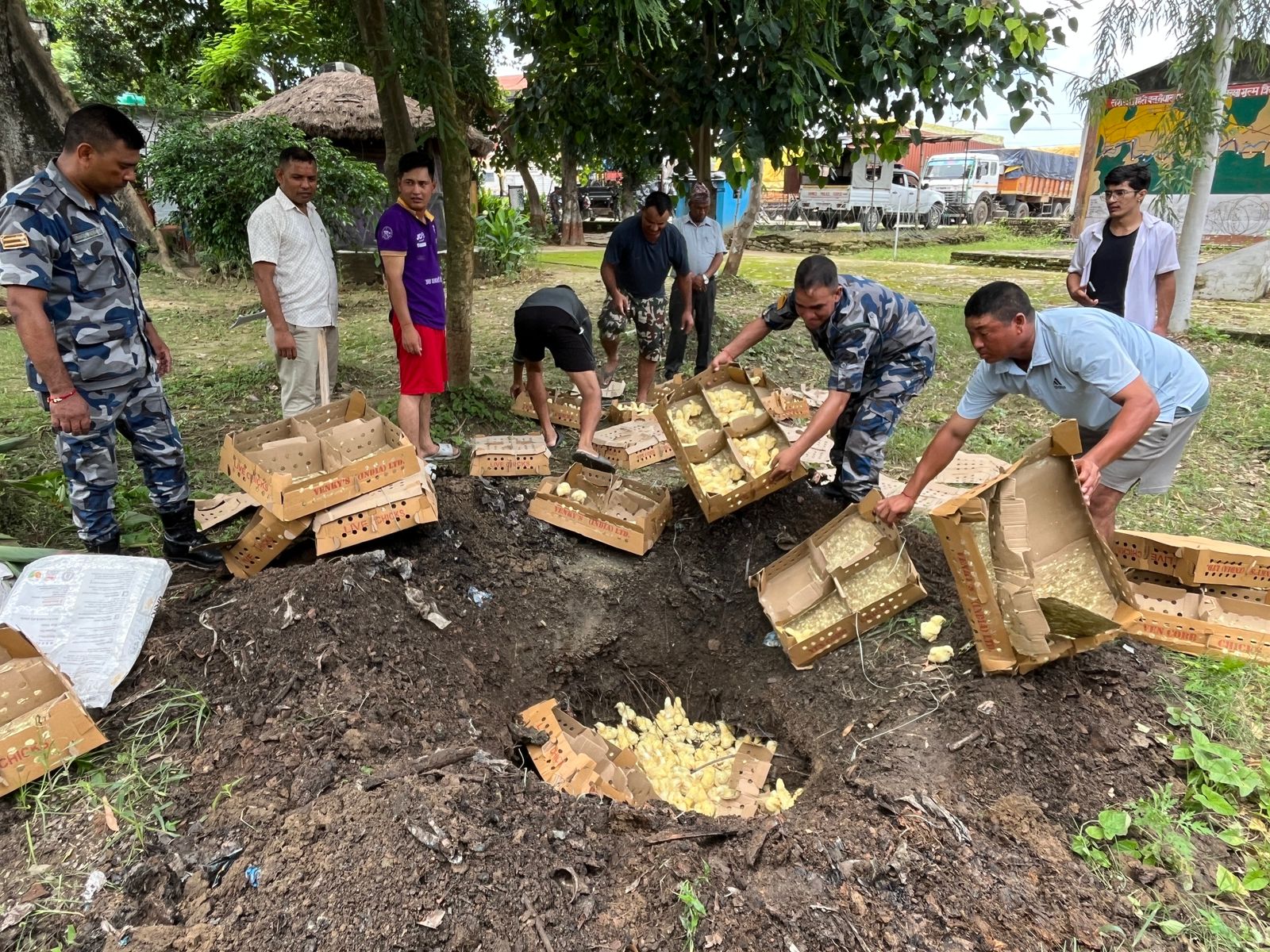 भारतबाट ल्याइदै गरेका कुखुराका चल्ला सहित सशस्त्र प्रहरीद्धारा  तीन जना पक्राउ