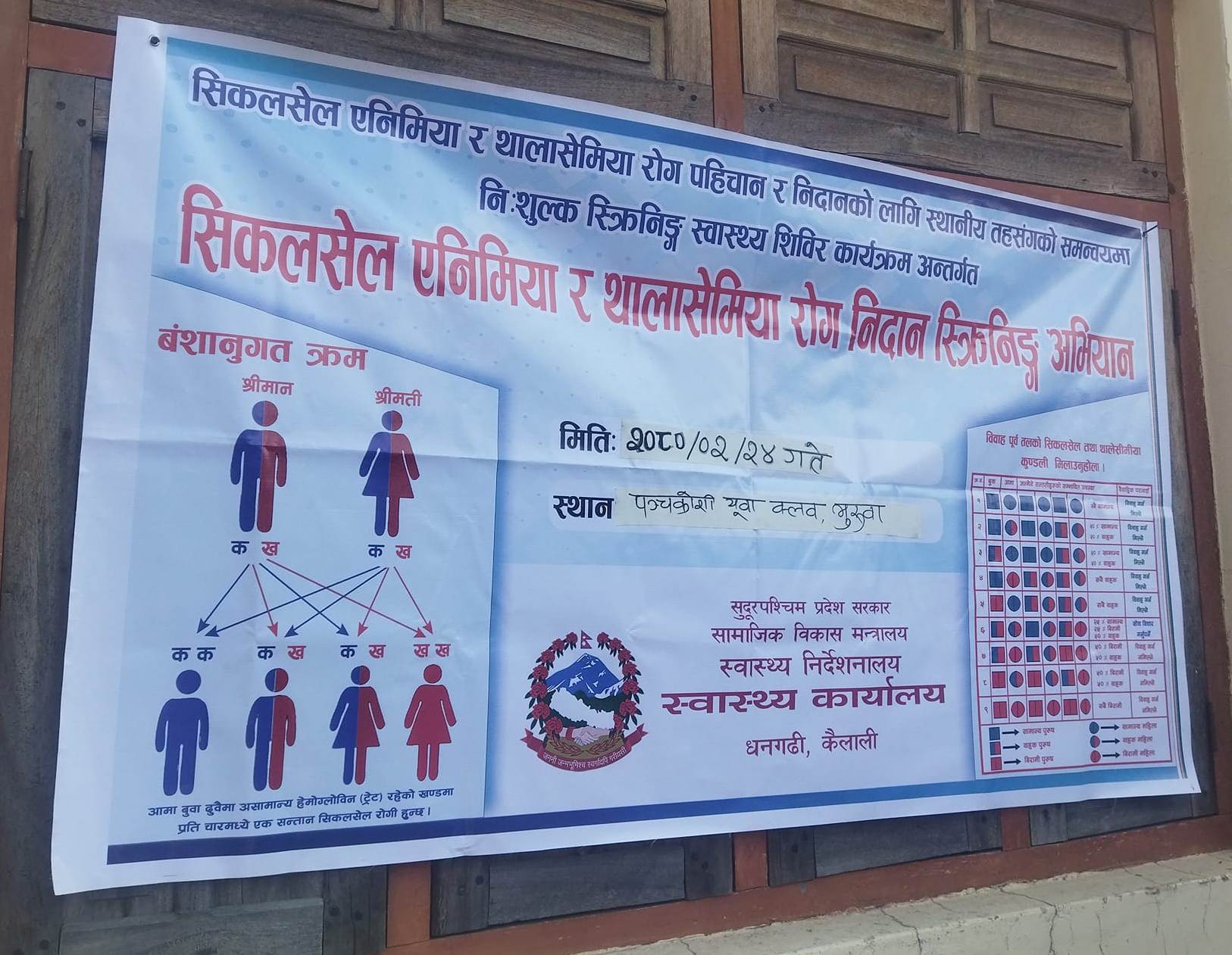 कैलालीमा  साढे १४ हजारको सिकलसेल एनिमिया परिक्षण