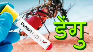 ब्यासमा देखियो डेंगु सार्ने लामखुट्टे