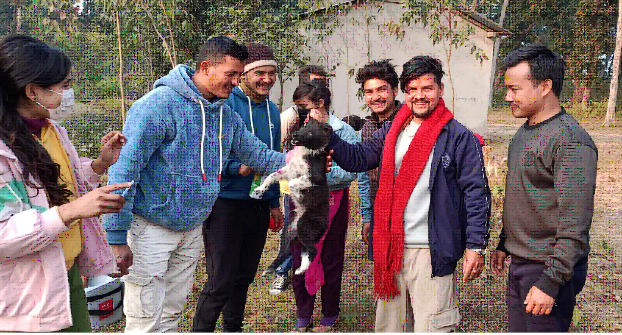 पशुलाई निशुल्क रेबिजबिरुद्धको खोप