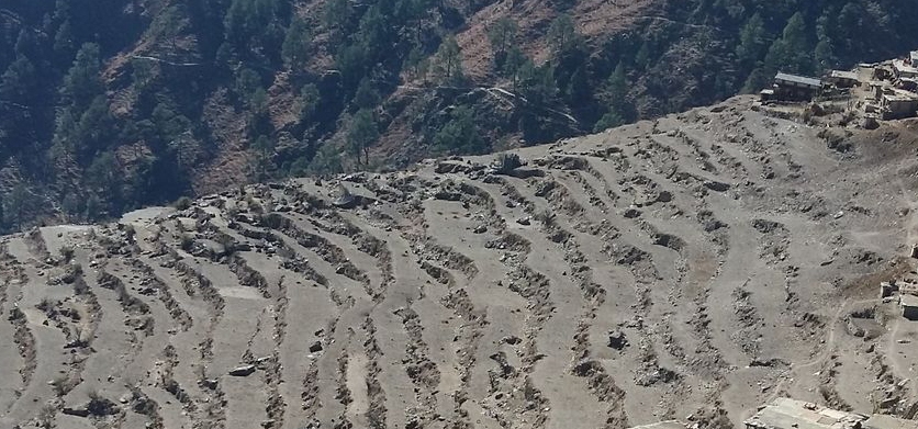 सिंचाई सुविधा नभएका स्थानमा सुक्दै हिउदे वाली